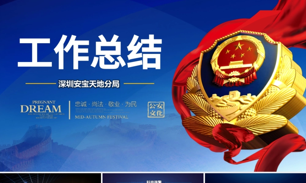 警察蓝色工作总结PPT.pptx
