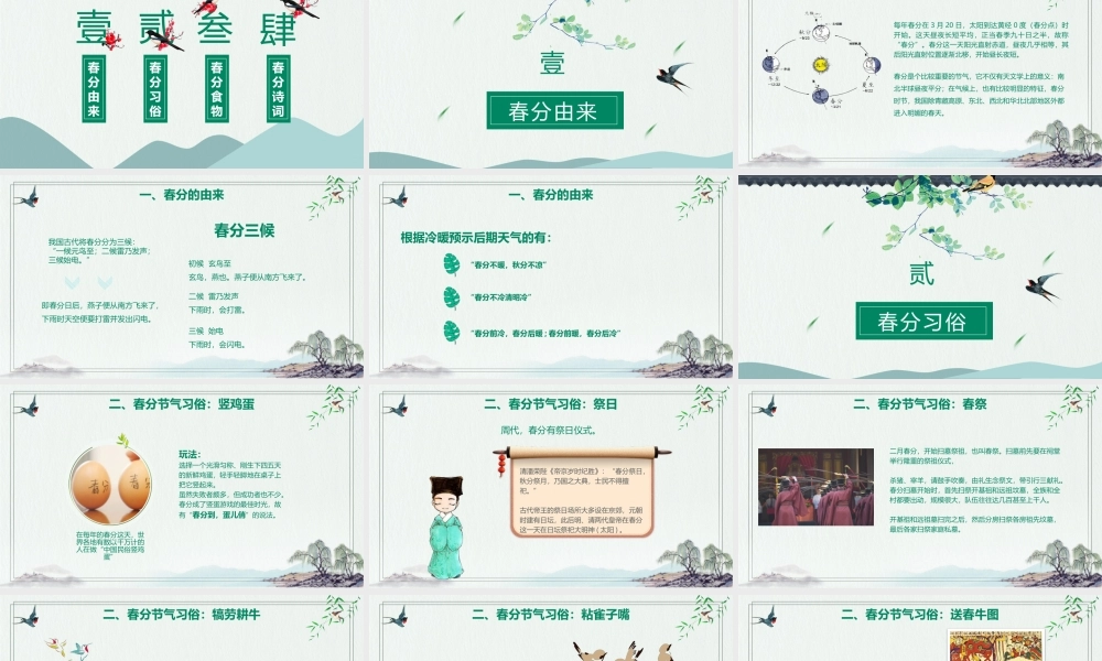绿色中国风二十四节气之春分.pptx