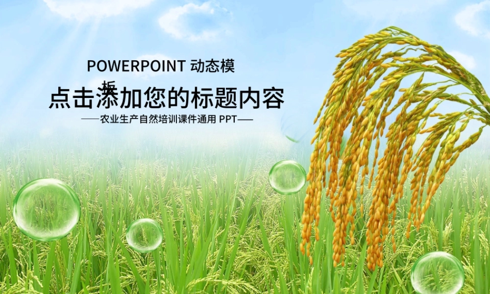 农业种子水稻丰收新农村春耕动态PPT.pptx