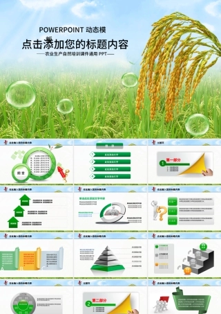 农业种子水稻丰收新农村春耕动态PPT.pptx