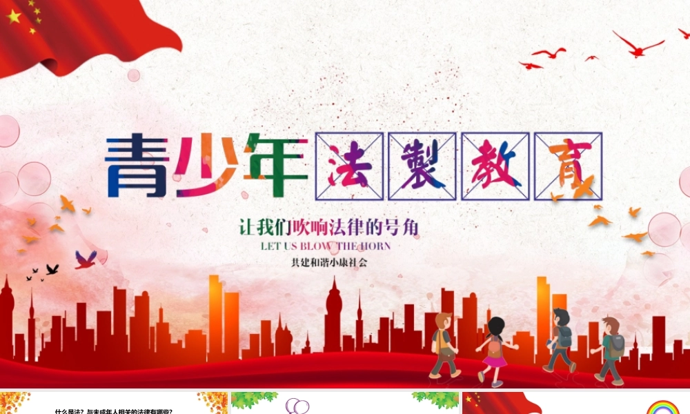 青少年法制教育.pptx