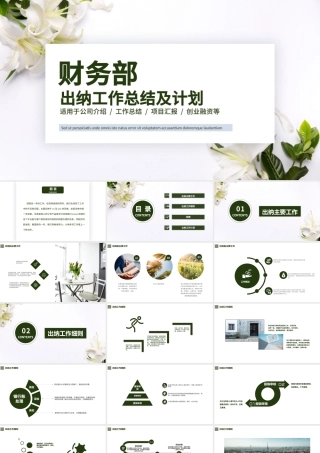 清新财务部出纳工作总结及计划.pptx