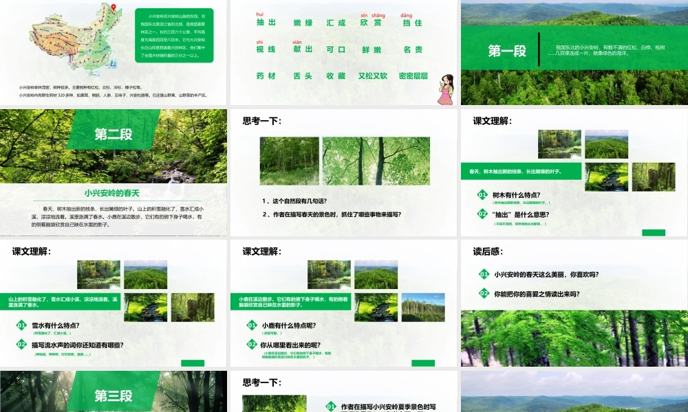 人教版三年级语文美丽的小兴安岭教学课件PPT动态模板.pptx