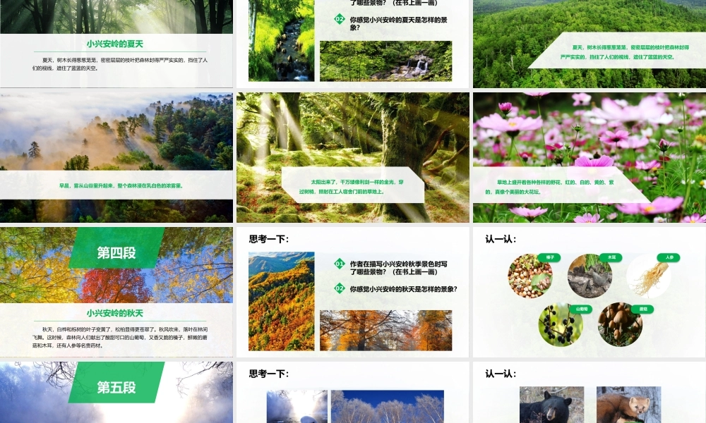 人教版三年级语文美丽的小兴安岭教学课件PPT动态模板.pptx