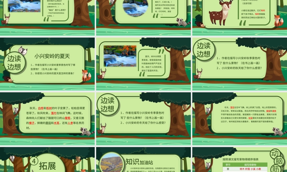 三年级语文美丽的小兴安岭PPT课件.pptx