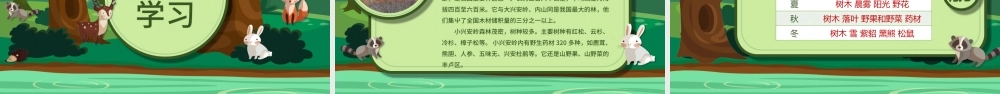 三年级语文美丽的小兴安岭PPT课件.pptx