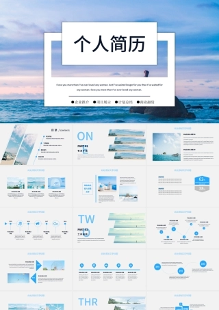 商务风个人简历求职通用PPT模板.pptx