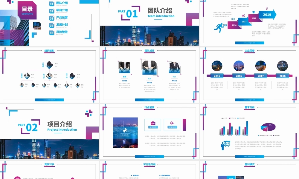 时尚高端企业创业项目商业计划书PPT.pptx