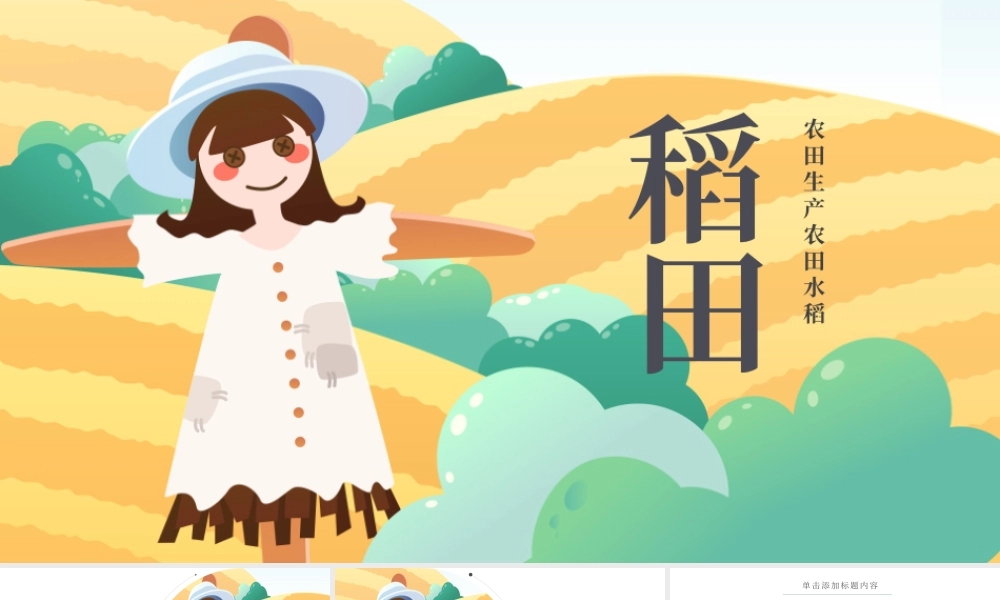 水稻农田PPT.pptx