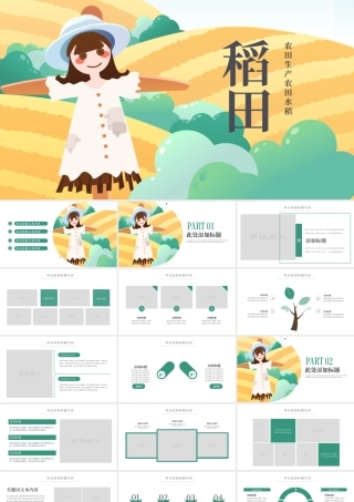 水稻农田PPT.pptx