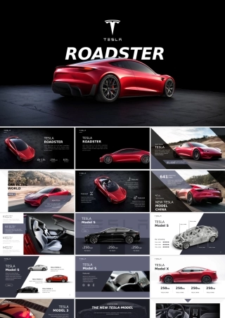 特斯拉pic531.pptx