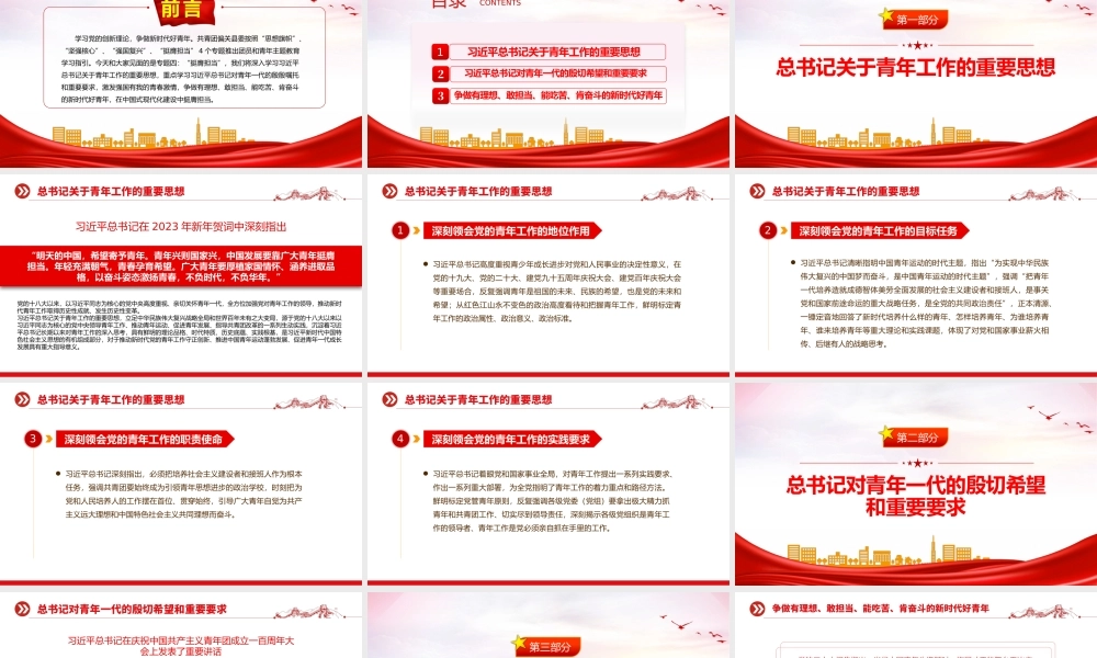 挺膺担当PPT红色简洁团员和青年主题教育第四专题团支部学习指引团课.pptx