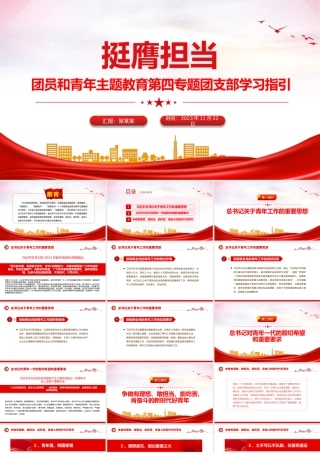 挺膺担当PPT红色简洁团员和青年主题教育第四专题团支部学习指引团课.pptx