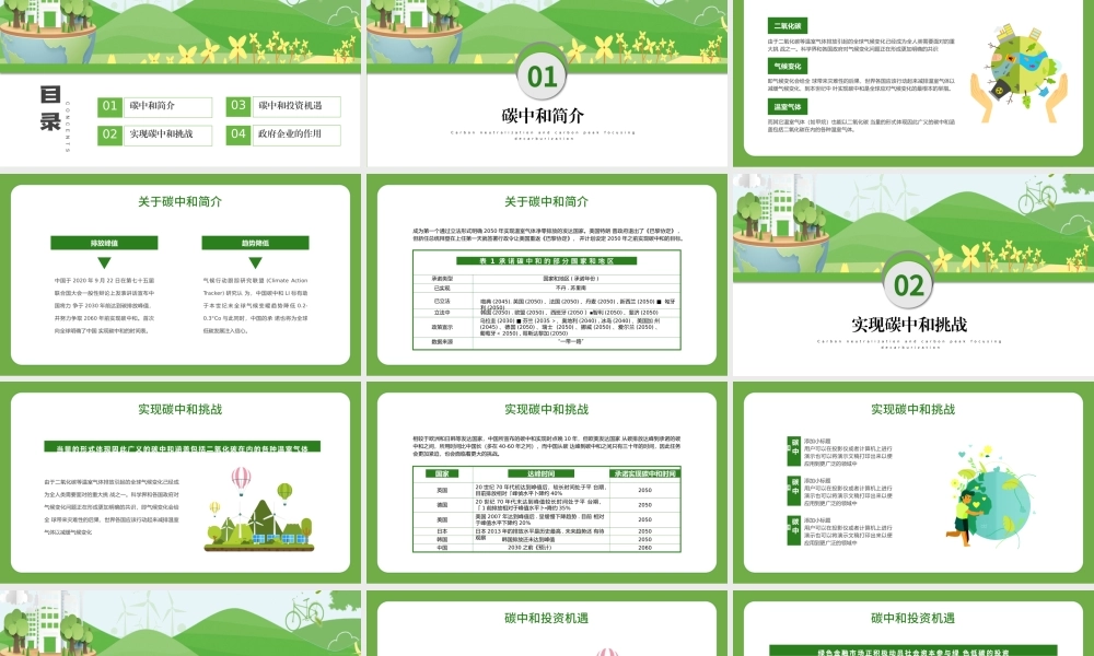 脱碳之路的机遇和挑战PPT绿色清新关于碳中和碳达峰生态环保课件.pptx