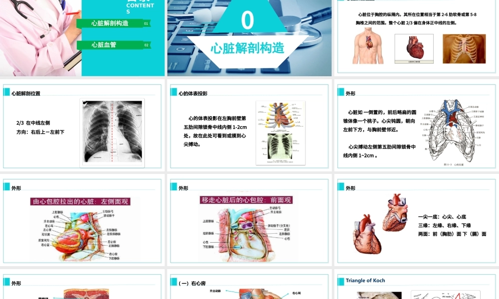 完整内容心脏健康医学解剖研究PPT模板素材下载.pptx