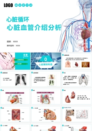 完整内容心脏健康医学解剖研究PPT模板素材下载.pptx