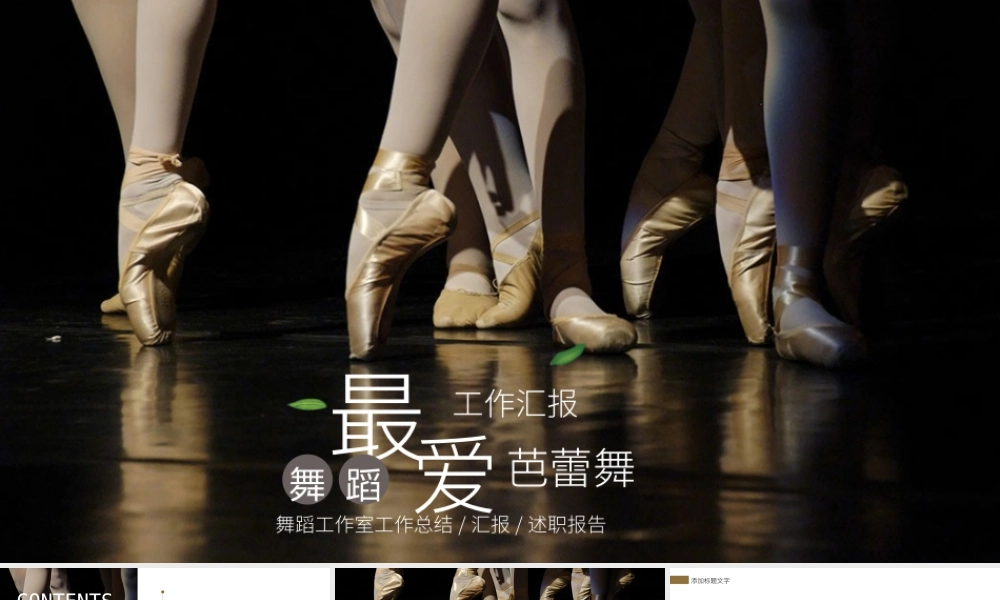 舞蹈培训学校中心工作总结汇报ppt.pptx