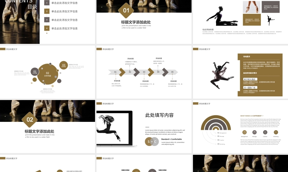 舞蹈培训学校中心工作总结汇报ppt.pptx