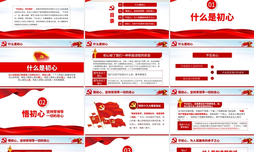 悟初心守初心践初心1.pptx