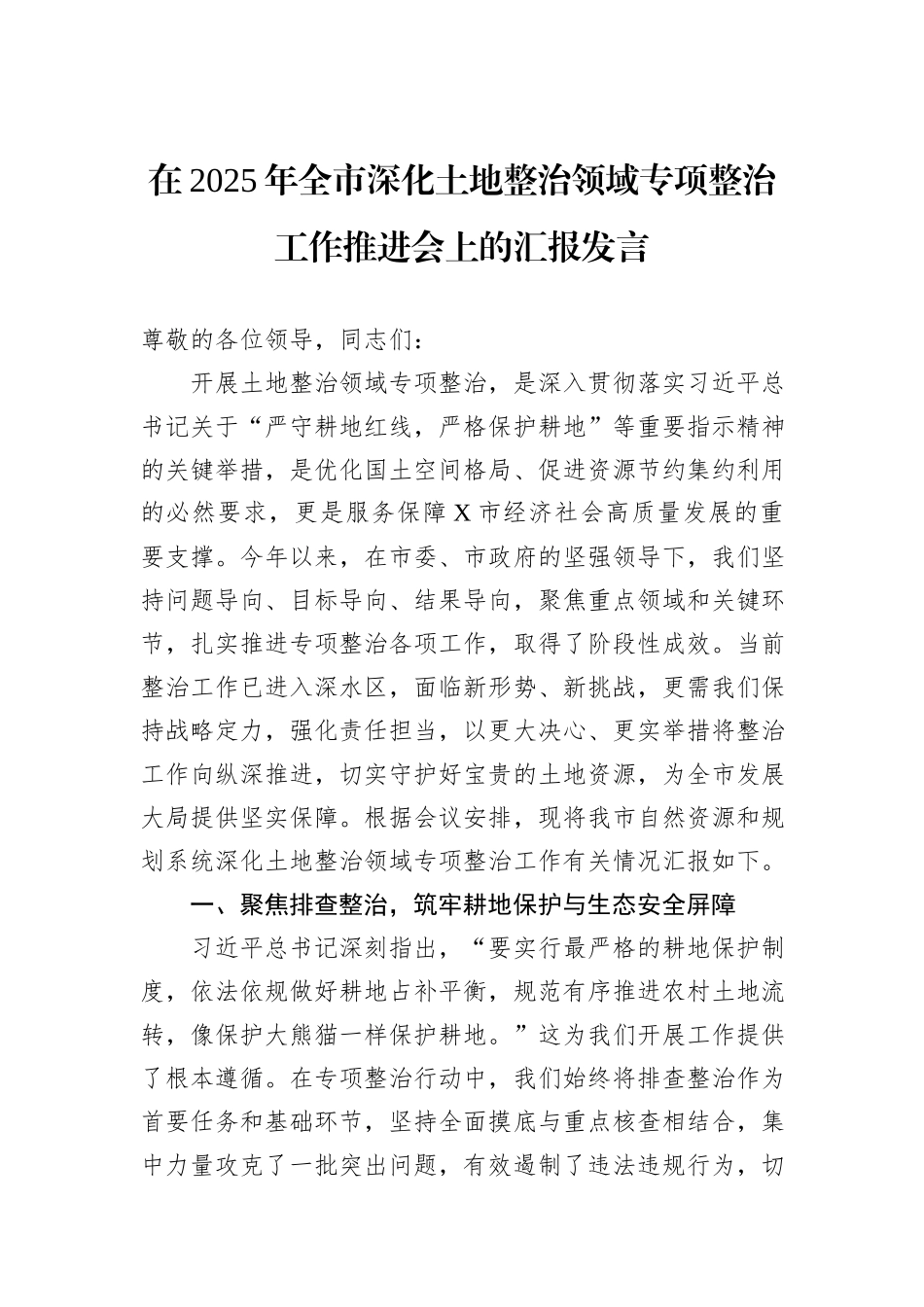 在2025年全市深化土地整治领域专项整治工作推进会上的汇报发言.docx_第1页