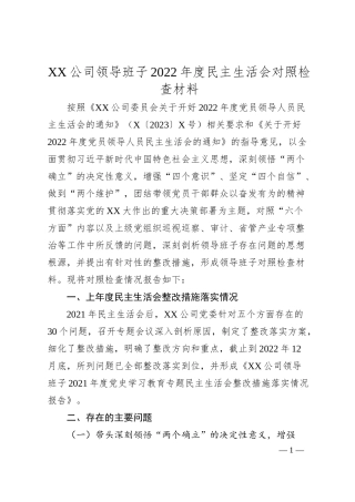 XX公司领导班子20XX年度民主生活会对照检查材料.docx