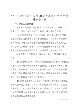 XX公司领导班子成员20XX年度民主生活会对照检查材料.docx