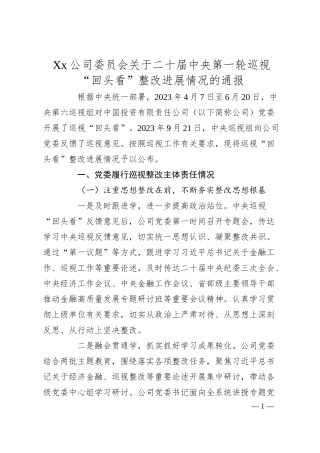 Xx公司委员会关于二十届中央第一轮巡视“回头看”整改进展情况的通报.docx