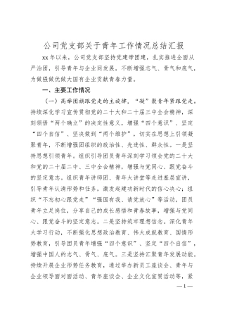 公司党支部关于青年工作情况总结汇报.docx