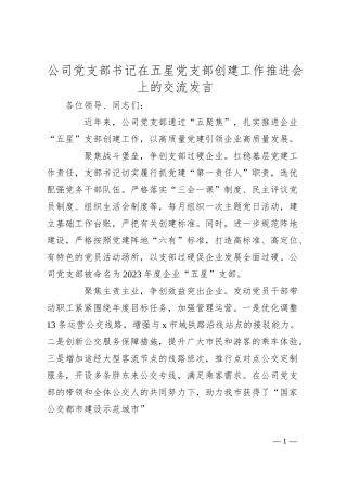 公司党支部书记在五星党支部创建工作推进会上的交流发言.docx