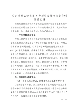 公司对照省纪监委X专项检查情况自查自纠情况汇报.docx