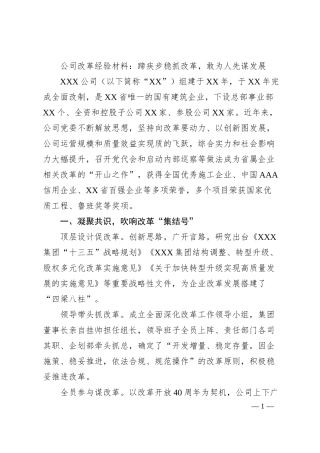 公司改革经验材料：蹄疾步稳抓改革，敢为人先谋发展.docx