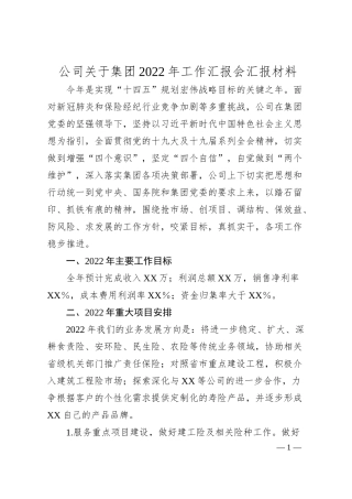 公司关于集团20XX年工作汇报会汇报材料.docx