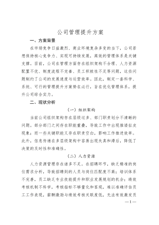 公司管理提升方案.docx