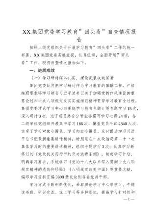 XX集团党委学习教育”回头看”自查情况报告.docx