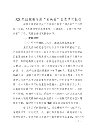 XX集团党委专题“回头看”自查情况报告.docx