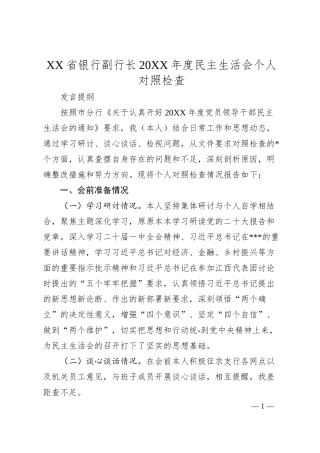 XX省银行副行长20XX年度民主生活会个人对照检查.docx