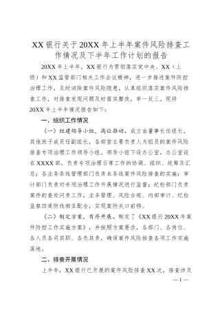 XX银行关于20XX年上半年案件风险排查工作情况及下半年工作计划的报告.docx
