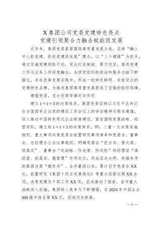 X集团公司党委党建特色亮点.docx