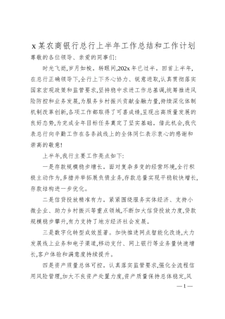 x某农商银行总行上半年工作总结和工作计划.docx
