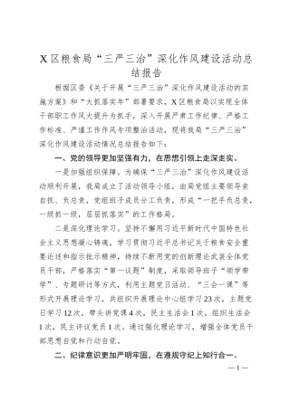 X区粮食局“三严三治”深化作风建设活动总结报告.docx