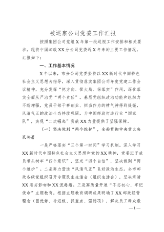被巡察公司党委工作汇报.docx