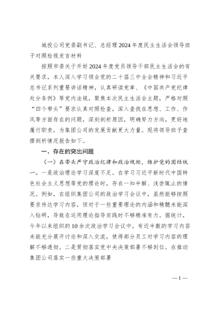 城投公司党委副书记、总经理2024年度民主生活会领导班子对照检视发言材料.docx