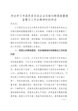 传达学习市国资委系统企业巡察问题通报暨镜鉴警示工作会精神时的讲话.docx