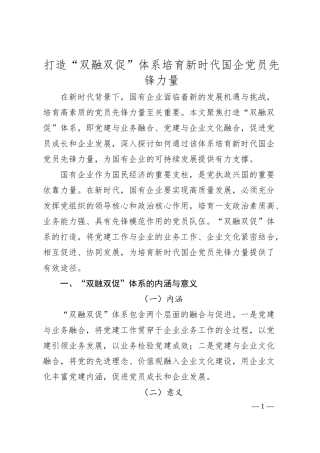 打造“双融双促”体系培育新时代国企党员先锋力量.docx