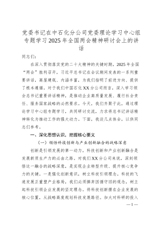 党委书记在中石化分公司党委理论学习中心组专题学习2025年全国两会精神研讨会上的讲话.docx