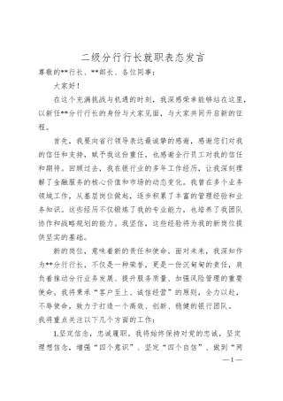 二级分行行长就职表态发言（银行）.docx