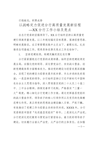 分行工作小结及亮点.docx