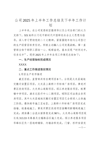 公司2025年上半年工作总结及下半年工作计划.docx