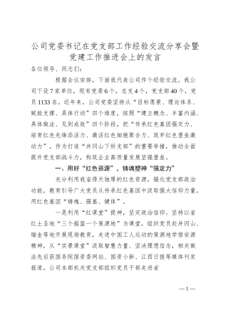 公司党委书记在党支部工作经验交流分享会暨党建工作推进会上的发言.docx