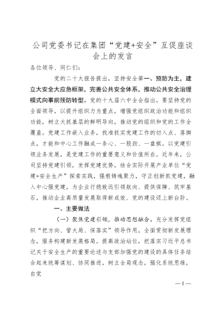 公司党委书记在集团“党建+安全”互促座谈会上的发言.docx